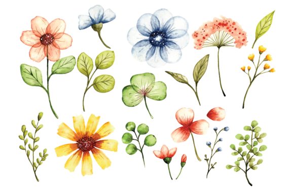 Download Floral Design Elements in Watercolor - Floral design elements Collection